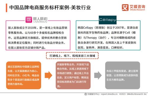 2023年中國品牌電商服務行業(yè)研究報告——艾媒咨詢信息咨詢服務解析